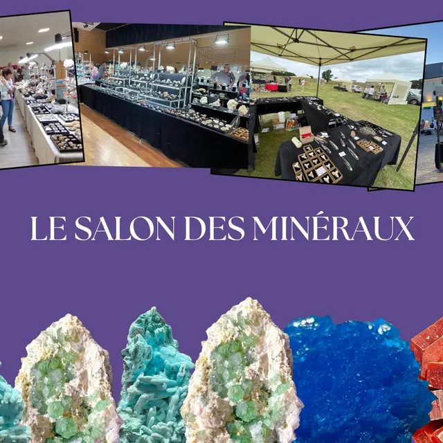 Rencontres minérales