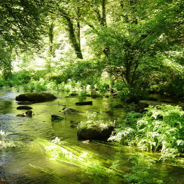 Riviere_LeScorff_Berne©ValerieFranciosi (1)