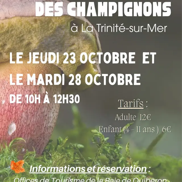SORTIE CHAMPIGNONS 10 2025 - 1
