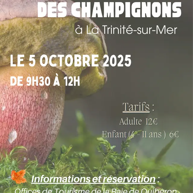 Sortie découverte des champignons