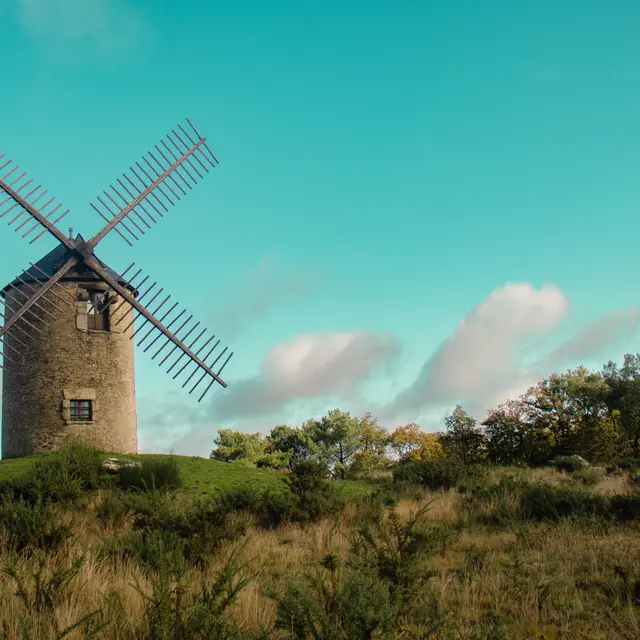ST-JACUT-LES-PINS - La Butte Des Moulins_madoline bauthamy (3)