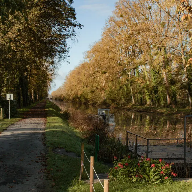 ST-VINCENT - L'Ile Aux Pies_bauthamy madoline (14)