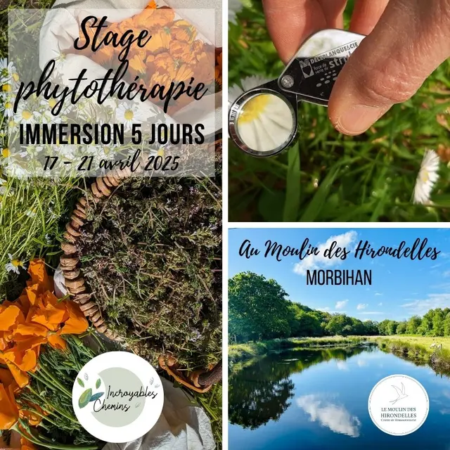 stage phytotherapie incroyables chemins