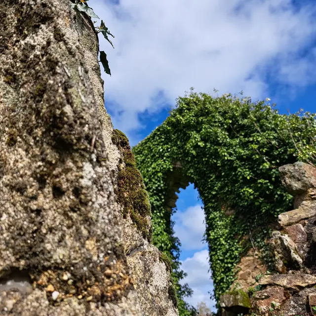 Site_des_Alliers_Béganne_2024-OTPR (19)