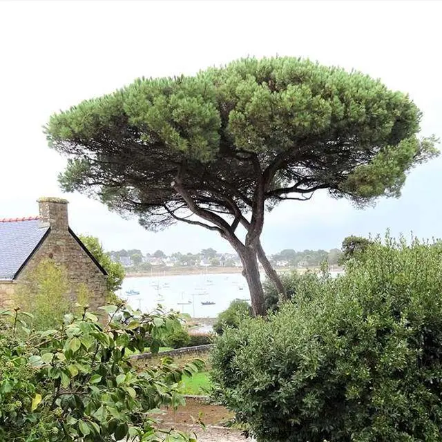 TY-DEGEMER-MAD---ARZON---GOLFE-MORBIHAN--BRETAGNE-SUD