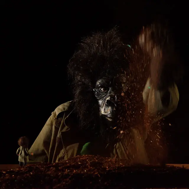 Tant pis pour King Kong