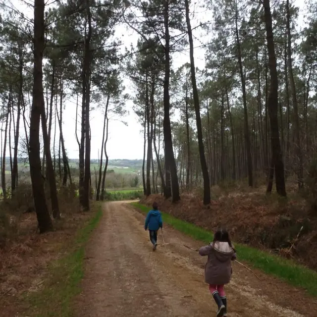 Vue sur La Vallée du Bled-Parc éolien Béganne