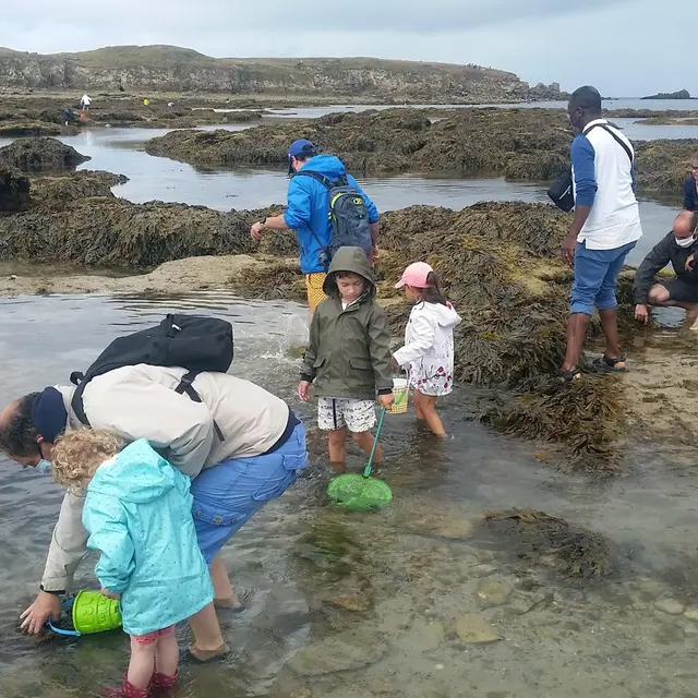 Trésor_de_locéan_à_marrée_basse