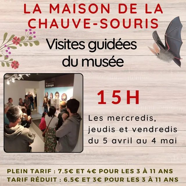 visite guidée 2025
