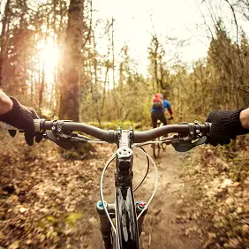 VTT_BD