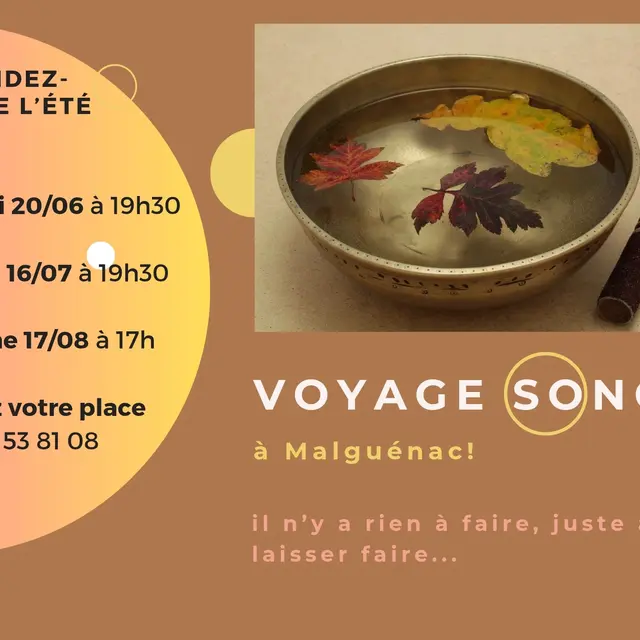 Voyage sonore so.lune