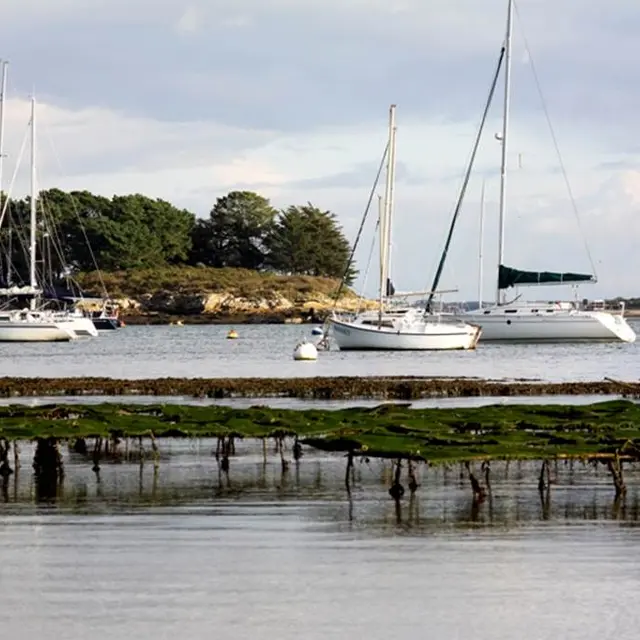 Ile Petite Logoden