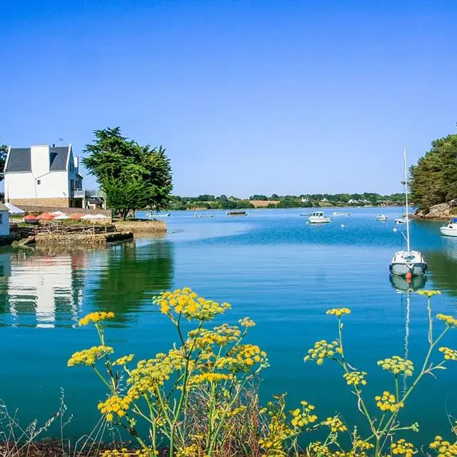 Ets-Gouguec-Producteur-Larmor Baden-Golfe-du-Morbihan-Bretagne sud-01