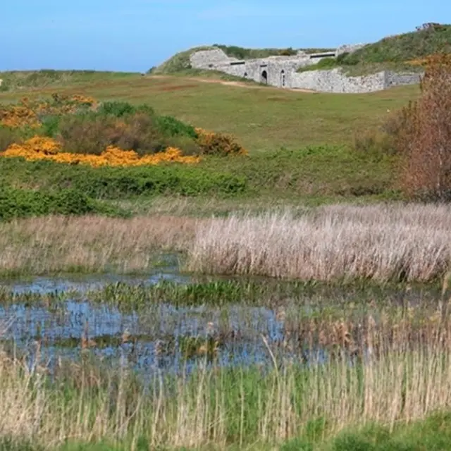 Le vieux Fort et le marais - Ile d'Hoëdic - Morbihan Bretagne Sud