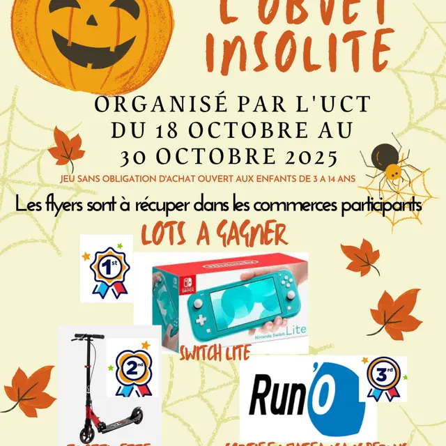 affiche jeu de l'objet insolite Trini'kids 2025