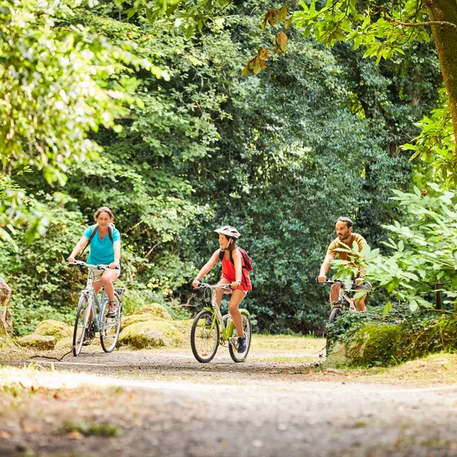 alamoureux@RoiMorvan17_D4_1165