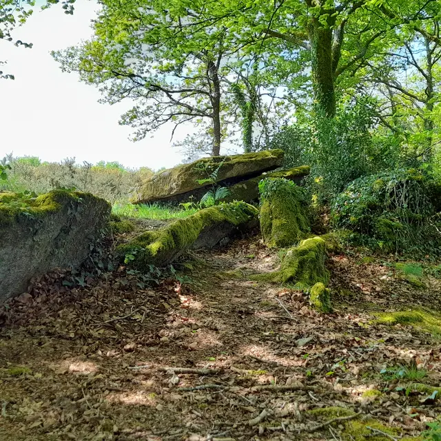 allée couverte Keroual d'en haut