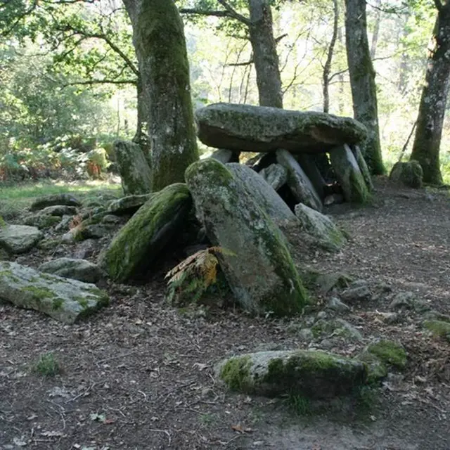 allée couverte la Loge au loup Trédion Morbihan Bretagne-sud