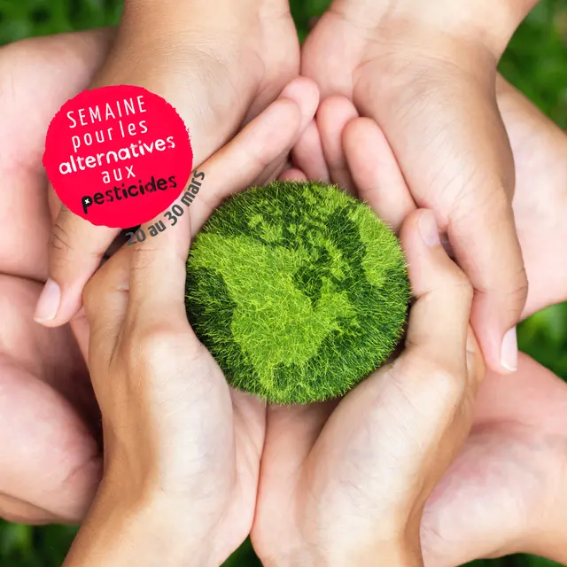 Conférence : Découvrez les alternatives aux pesticides !