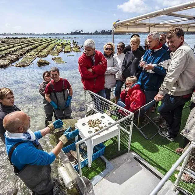 La-Cabane-à-Huîtres-Baden-Golfe-du-Morbihan-Bretagne sud