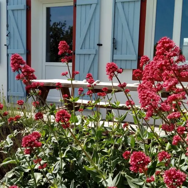 Clévacances - Meublé 056MS000371 - 