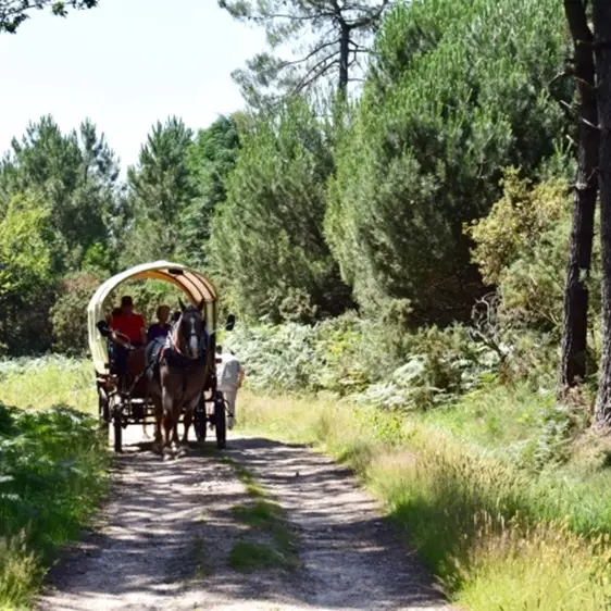 balade_caleche_Sérent-2025