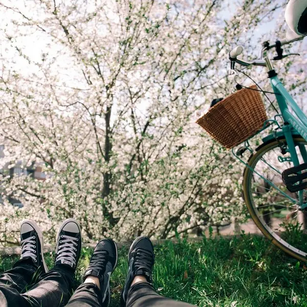 bicycle-1840922-1920