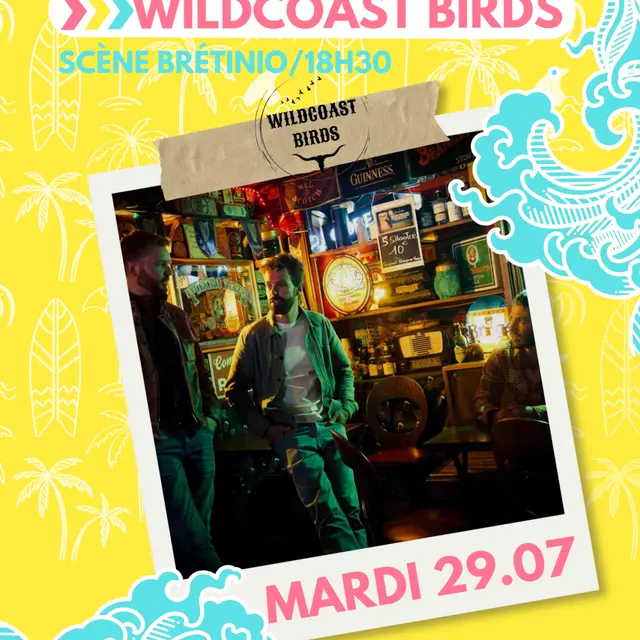 birds