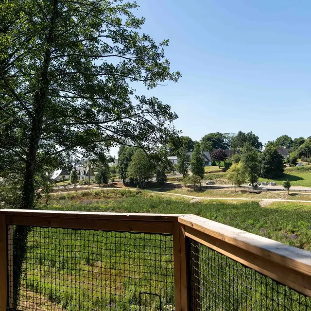 bois-amour-locmine (6)