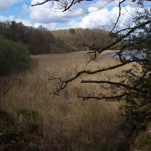 Bois de Saint-Nudec Lanester Morbihan Bretagne Sud