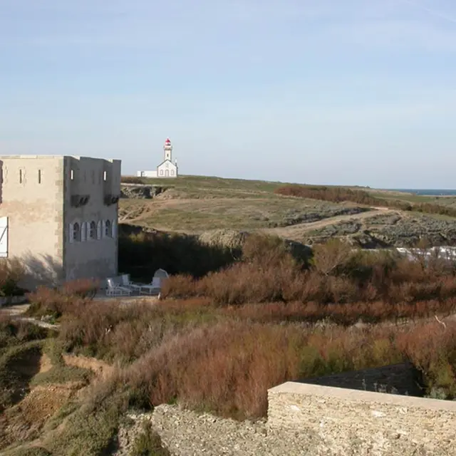 Fort des poulains