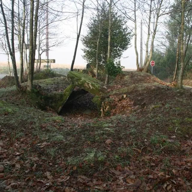 allée couverte de Lann er Veinn Morbihan Bretagne-sud