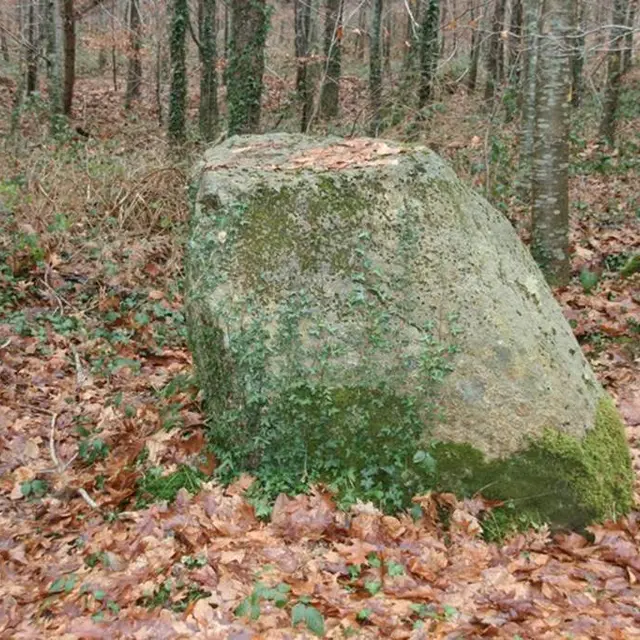 menhir l'armoirieCamors Morbihan Bretagne-sud