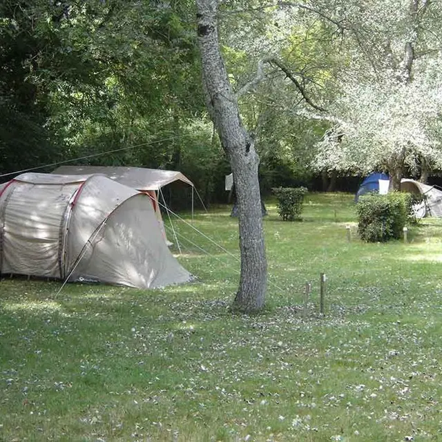 Camping-municipal-Le-Vieux-Moulin-Ile-aux-Moines-Golfe-du-Morbihan-Bretagne sud