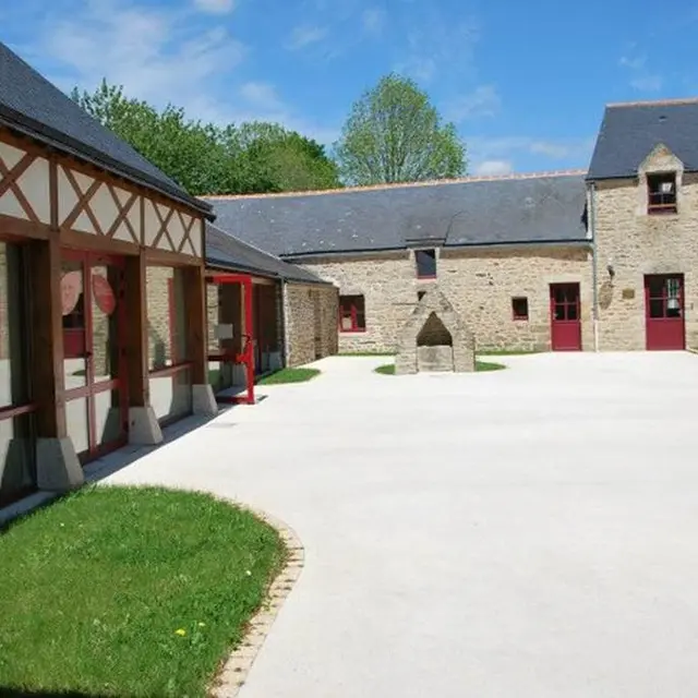 Les Digitales - Morbihan - Bretagne Sud