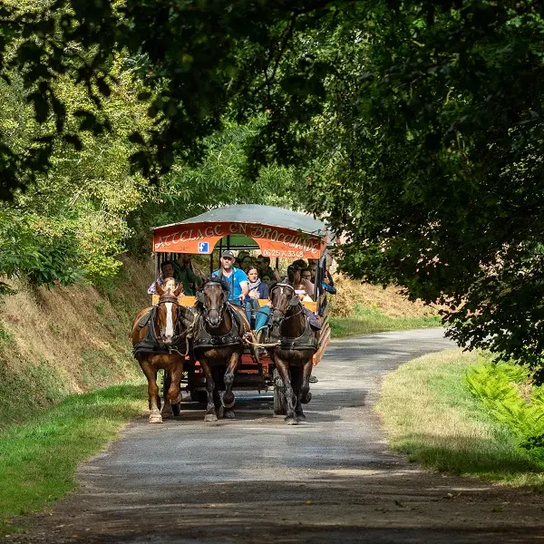 Calèche_de_Brocéliande_balade_contes_Tréhorenteuc_DestinationBrocéliande