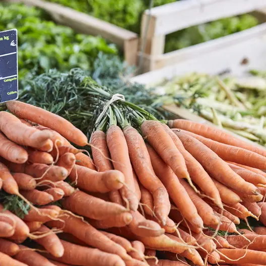 carottes-marche