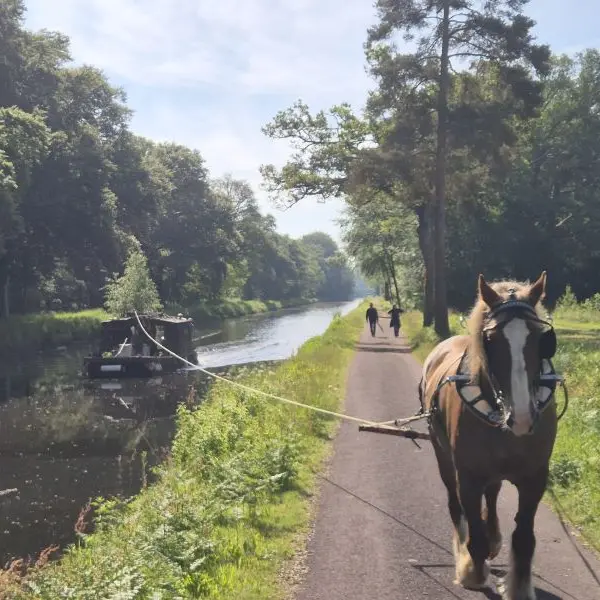 Dimanche - canal - halage - cheval - Tertraie - Brocéliande - Morbihan