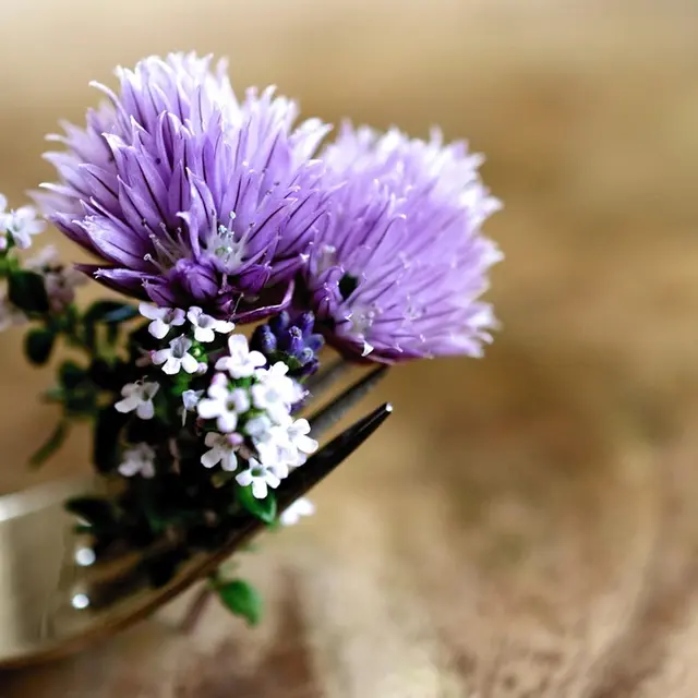 chives-6335251_1280