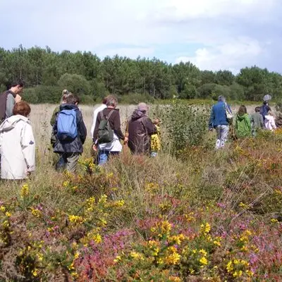 circuit-des-landes-de-Pinieux