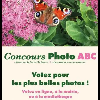 concours photo