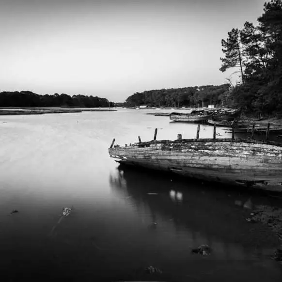 colin-du-mont--1-