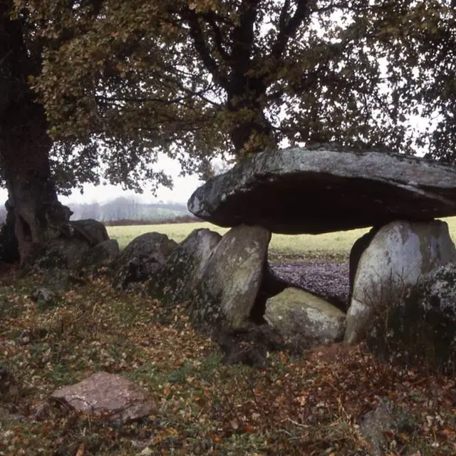 allée couverte de Kerjagu morbihan bretagne sud