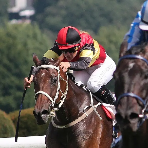courses-hippiques-2-2