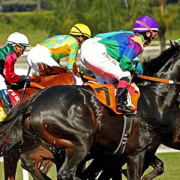 courses-hippiques-2