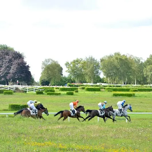 courseshippiques