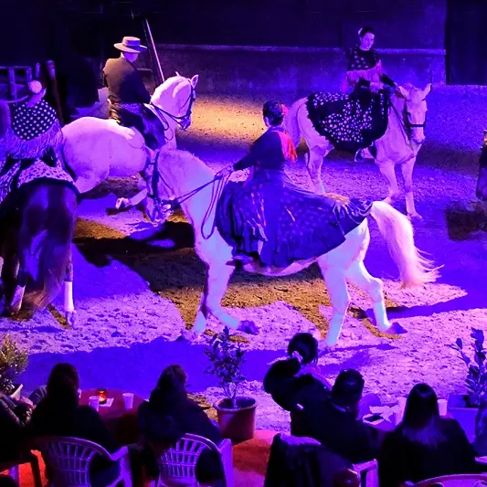 Cabaret équestre Les chevaux dansent à la bodega
