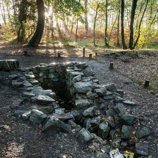 Fontaine de Barenton