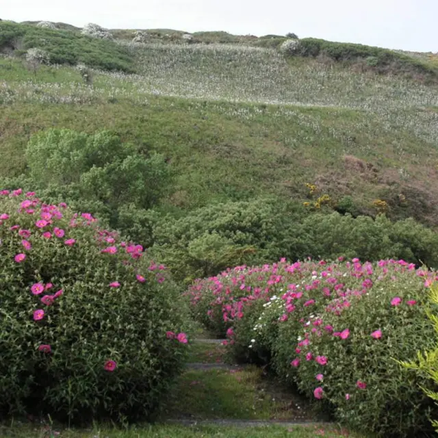 Jardin de la Boulaye