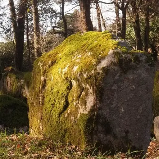 Dolmen du Luffang Crach - Morbihan Bretagne sud (1)